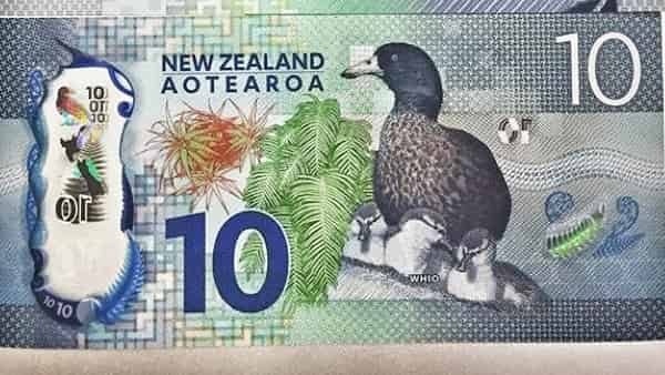New Zealand Dollar Forecast NZD/USD September 8, 2022