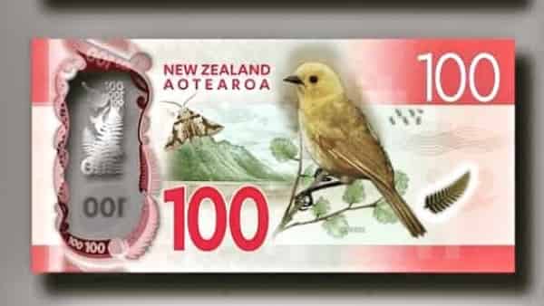 New Zealand Dollar Forecast NZD/USD for September 1, 2023