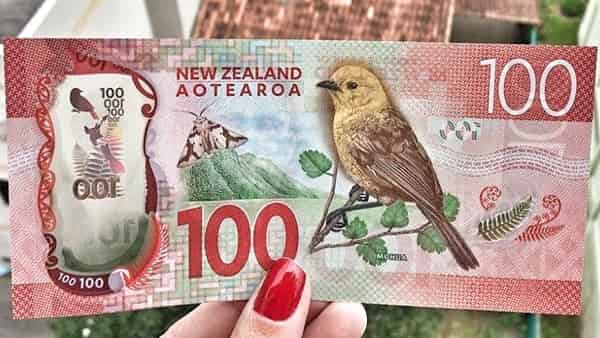 New Zealand Dollar Forecast NZD/USD August 30, 2022